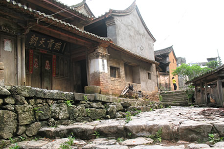 易武贡茶 q05