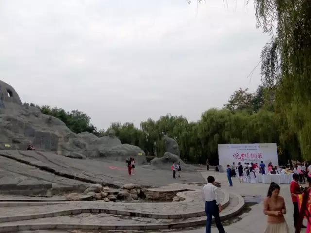 图片1