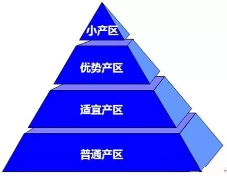 640.webp (4)