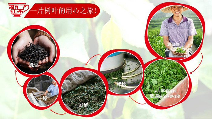 幻灯片6