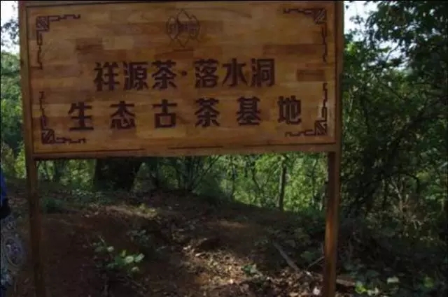 640.webp (7)